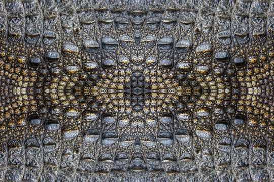 Have Humans Really Evolved Beyond Nature?
