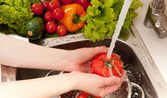 6 Tips To Keep Food Safe And Limit Waste 6 Tips To Keep Food Safe And Limit Waste
