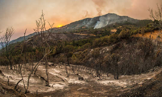 Is There A Limit To Optimism When It Comes To Climate Change? Is There A Limit To Optimism When It Comes To Climate Change?