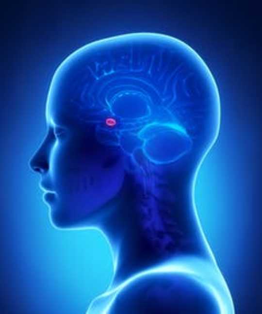 Fear Can Spread From Person To Person Faster Than The Coronavirus 