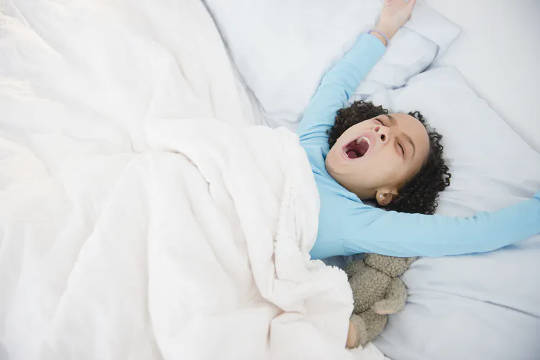 How Does Your Brain Wake Up From Sleep? How Does Your Brain Wake Up From Sleep?