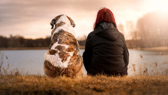 The First Rule for Meditation Success: Don't Be Ruled by What Others Do The First Rule for Meditation Success: Don't Be Ruled by What Others Do
