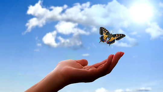 Control or Joy: Which Do You Choose to Experience? butterfly above an open hand and open sky