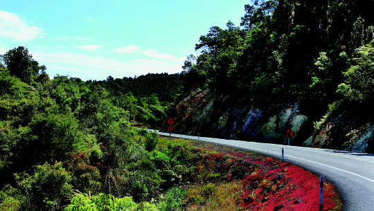 Don't Be So Hard On Yourself: Life's A Journey curving road in New Zealand