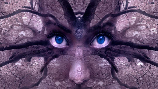 Why We Enjoy Horror Films tree with a huge face inside of it