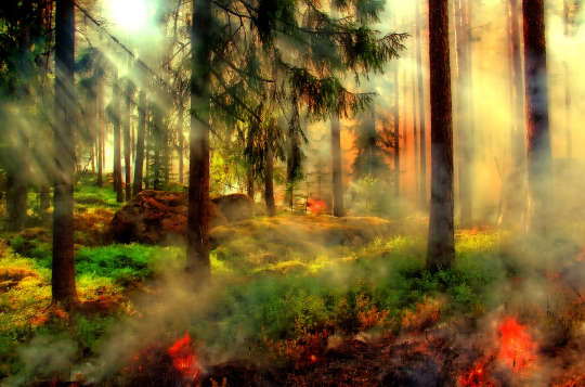 Another Dangerous Fire Season Is Looming In The Western US, And The Region Is Headed For A Crisis Another Dangerous Fire Season Is Looming In The Western US, And The Region Is Headed For A Crisis