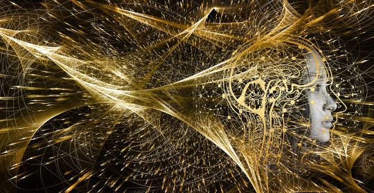 Covid-19 May Alter Gray Matter In The Brain Covid-19 May Alter Gray Matter In The Brain