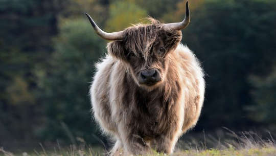 Cast Normal to the Gutter: 18th January 2022 – 17th July 2023, North Node in Taurus 01 15 cast normal to the gutter