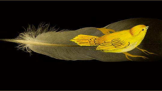 The Blessings of the Entire Nature Kingdom small yellow bird standing on a big bird feather