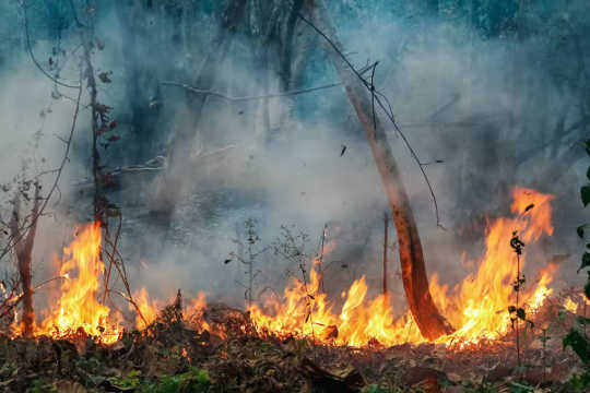 Is The Amazon Rainforest On The Verge Of Collapse? amazon verge of collapse2 4 3