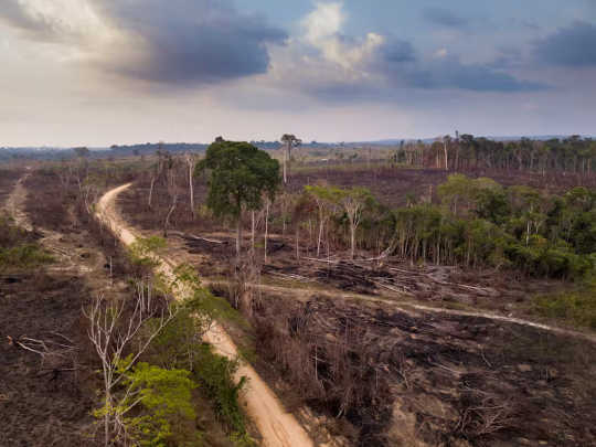 Is The Amazon Rainforest On The Verge Of Collapse? amazon verge of collapse3 4 3