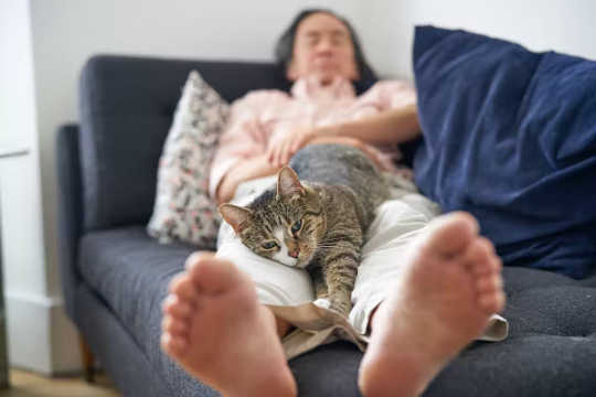 Is This An Early Sign Of Dementia? dementia and sleep2 4 12