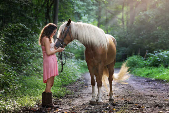 Horses And Pigs Can Also Tell If You’re Positive Or Negative horses can tell your attitude 4 27