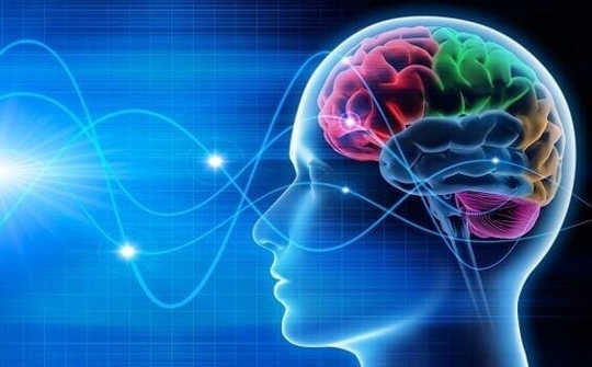 How Your Brain Organizes Memories how brains organize 2 19