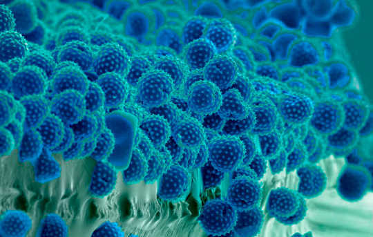 What To Expect As Pollen Season Gets Longer And More Intense With Climate Change pollen season getting worse 3 19