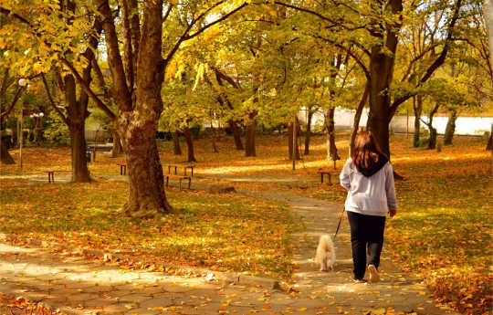 Why Your Brain Likes Nature More Than Cities walk in the park 3 11