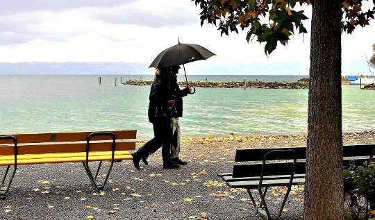 Turning the Mind to Peace a couple walking in the rain under an umbrella