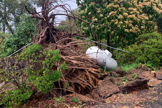 Miracle in the Storm huge tree feelled by the storm and propane tank resting at an angle partly in the air.