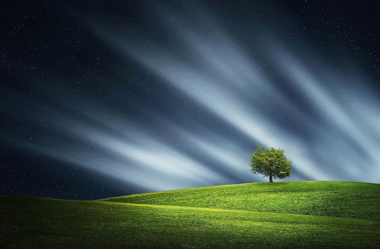 A Society with Fragmented Attention and the Need for Silence peaceful nature scene with rays of light