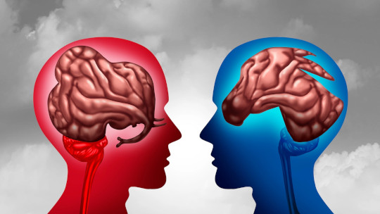 People Who Share Political Ideology Have Similar Neural Fingerprints Neural Fingerprints 2 23