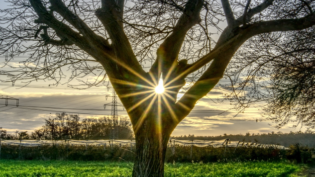 How to Center and Ground Yourself Amid Chaos: Find True North