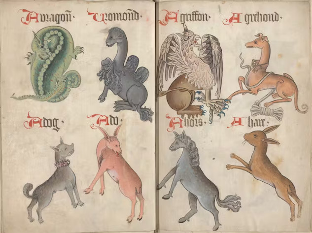 Dogs of Yore: A Glimpse into Medieval Dog Ownership 2f2tilrr