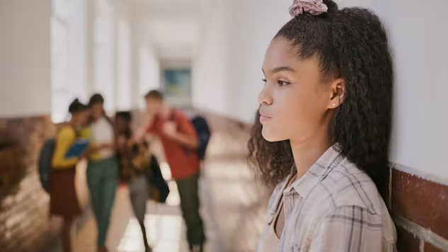 Why Bullies Act Out: Exploring the Causes of Mean Behavior bullying expalined 11 27