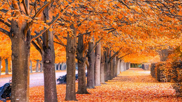 How Climate Change Is Affecting The Seasons climate change and the seasons 10 25
