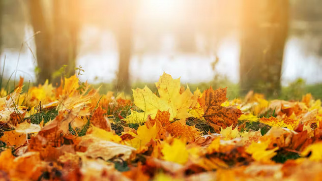How Climate Change Is Affecting The Seasons climate change and the seasons3 10 25