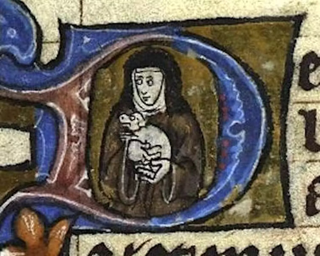 Dogs of Yore: A Glimpse into Medieval Dog Ownership guq6wi1q