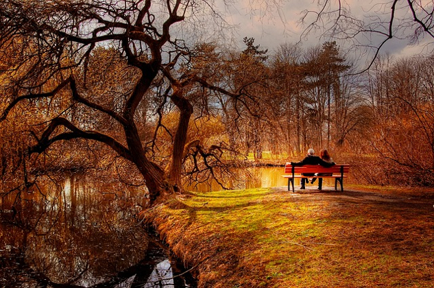 Reciprocity Restores the Intrinsic Joy of Our True Being a couple sitting on a bench surrounded by trees and nature