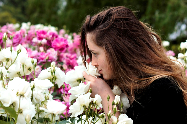 How Does Your Sense of Smell Compare to Your Dog or Cat?