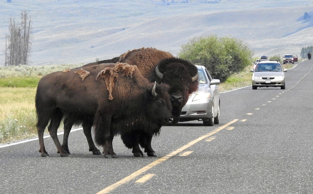 Removing Roadblocks: When People Make Their Life Hard
