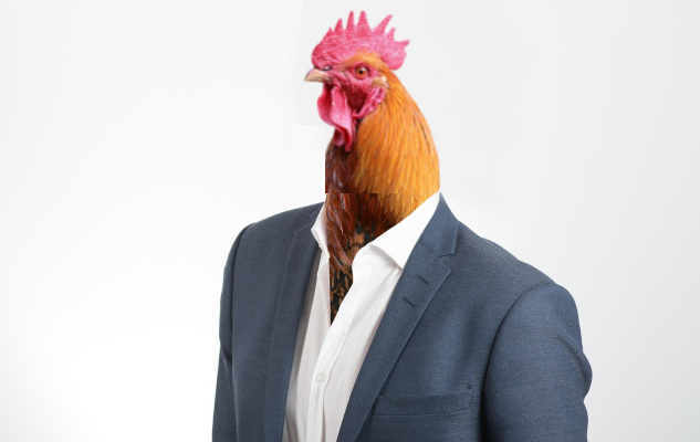 Human Superiority Complex and Ego: How It Shapes Our World