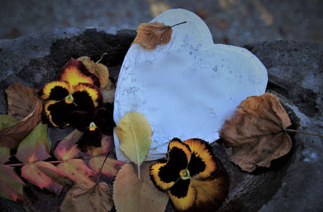 Heart Transplants: When Memories of the Donor Live On a white stone shaped like a heart surrounded by a variety of flowers
