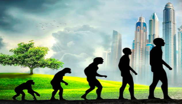 Precognition and Intuition Are Hardwired Into Your DNA Image showing evolution from ape to man. Image by Stefan Keller from Pixabay.