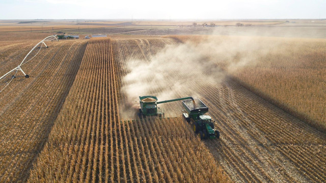 Unveiling the Alarming Truths of the Processed Food Industry: Reclaiming Our Health harvesting corn 5 27