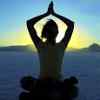 Article: Gratitude for the Day by Donald Altman. Article: Gratitude for the Day by Donald Altman.