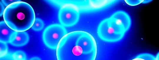 The Body's Intelligence = The Physical + The Higher Self? The Body's Intelligence = The Physical + The Higher Self?