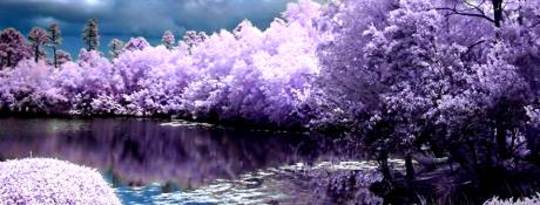 Dreams & Dreamtime: Walking Between the Worlds Dreams & Dreamtime: Walking Between the Worlds