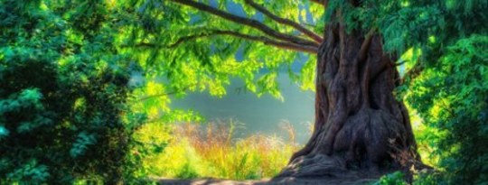 A Human Economy Based on Nature: A Win-Win Situation A Human Economy Based on Nature: A Win-Win Situation