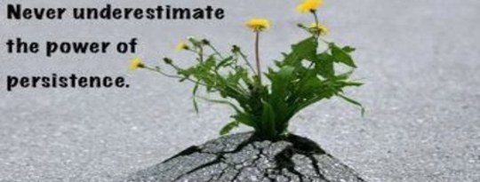 Persistence Is The Key to Success Persistence Is The Key to Success