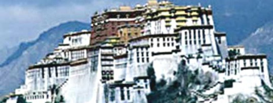 The Next Dalai Lama Could Be A Woman? The Next Dalai Lama Could Be A Woman?