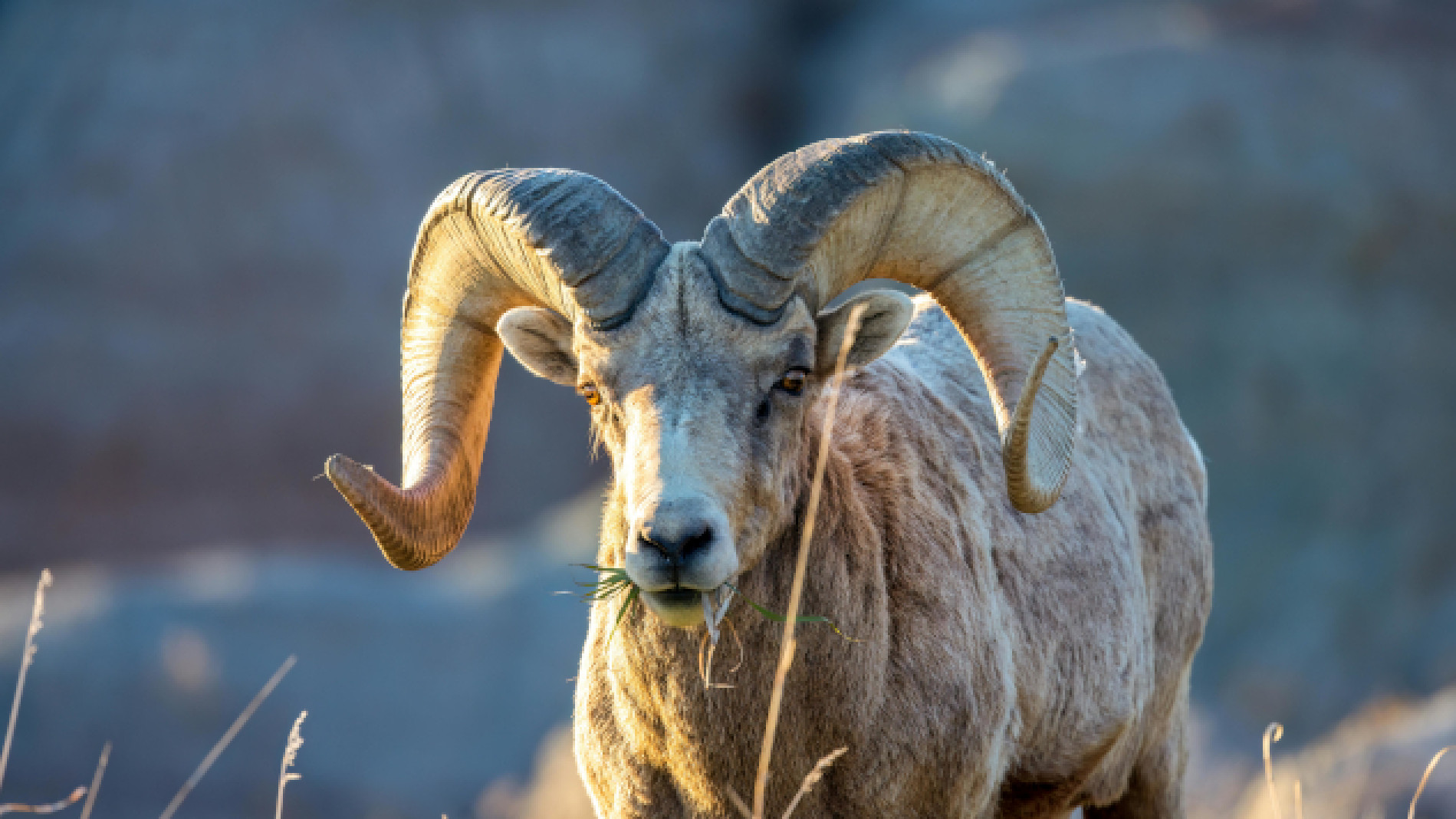 Astrological Overview and Horoscope: April 6 - 12, 2026